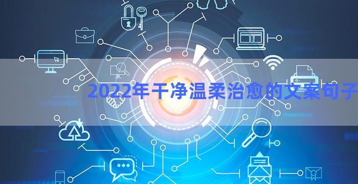 2022年干净温柔治愈的文案句子