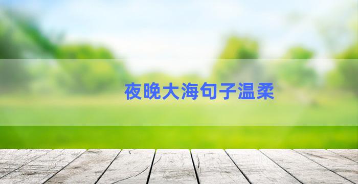 夜晚大海句子温柔