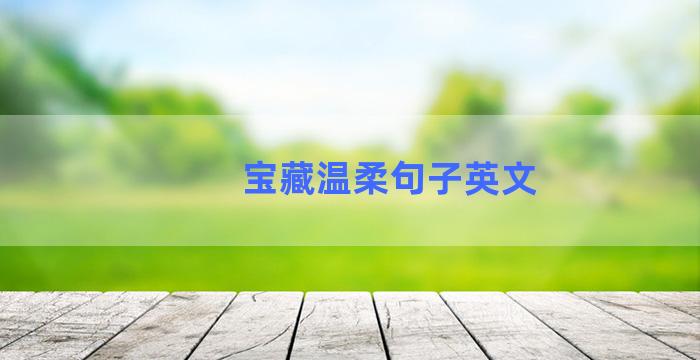 宝藏温柔句子英文