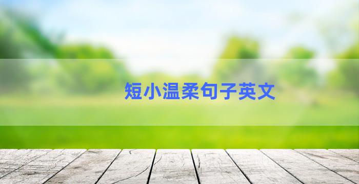 短小温柔句子英文