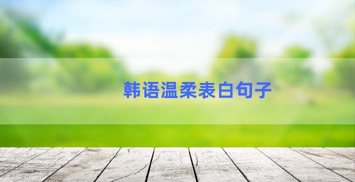 韩语温柔表白句子